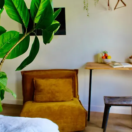 Maison Merci - 3* Каркассон