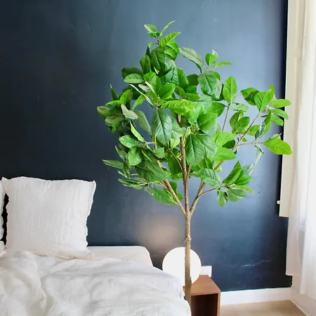 Maison Merci - 3* Каркассон