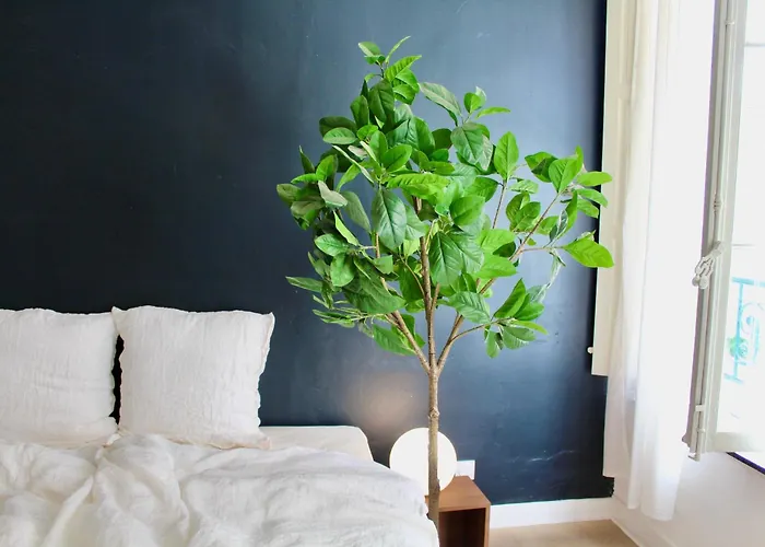 Maison Merci - 3* Carcassonne